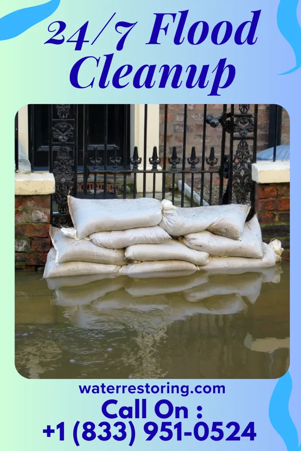 24/7 Flood Cleanup in Minden City, MI