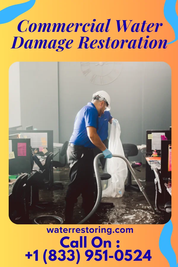 Commercial Water Damage Restoration in Minden City, MI