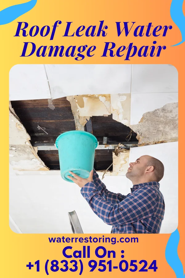 Roof Leak Water Damage Repair in Minden City, MI