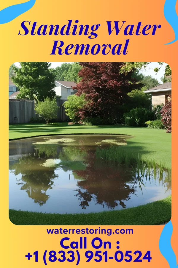 Standing Water Removal in Minden City, MI
